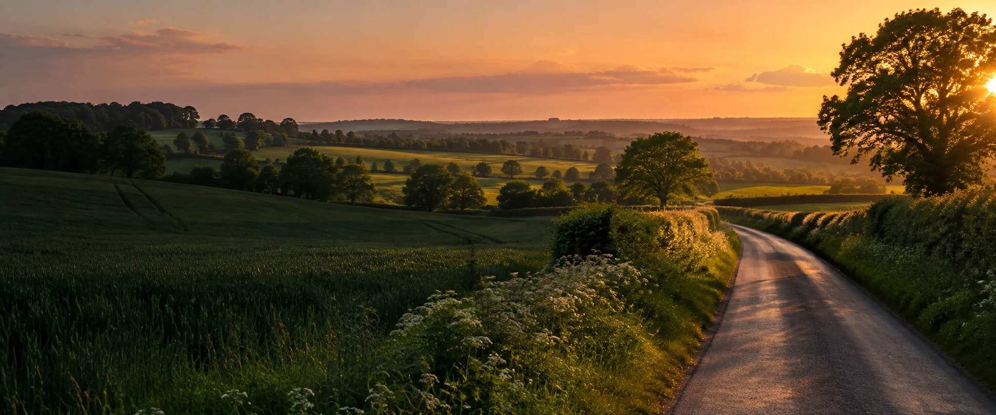 Country road through green fields at sunset
