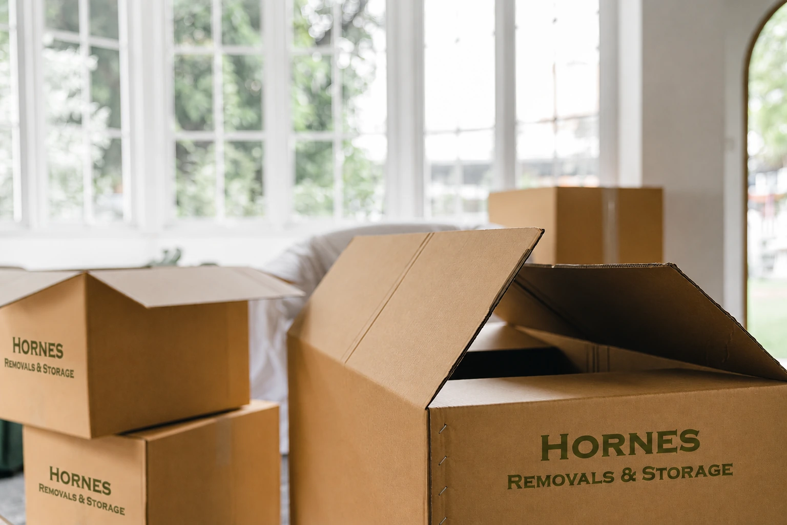 Hornes moving boxes in a bright room